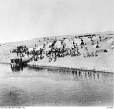 Indian Army camp on the banks of the Suez Canal, January 1915