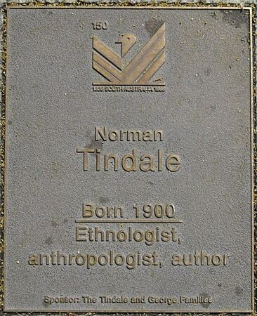 J150W-Tindale