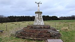 James Smith Covenanter Memorial, Gallow Law, Molmont Hill, East Ayrshire. Detail