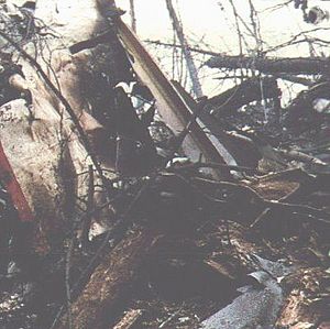 Japan Airlines Flight 123 wreckage