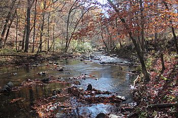 Johns Creek (Oostanaula River), Johns Mountain WMA, Nov 2017 1.jpg
