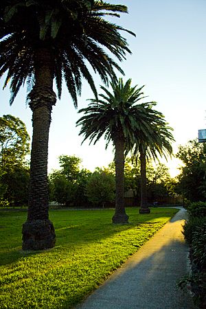 Johnson park 4