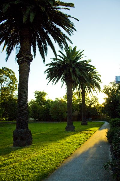 Johnson park 4