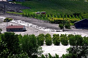 June 13, 2010 Oliver Mudslide through vineyard