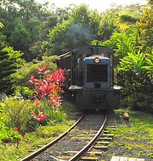 Kauai Plantation Train