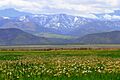 Landscape View, at Circleville, UT