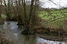 The river Baize