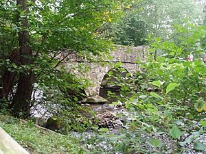 Loggerheads country Park - geograph.org.uk - 262476.jpg