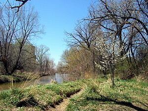 Looking west from inside Cherry Creek