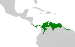 Melanerpes rubricapillus map.svg