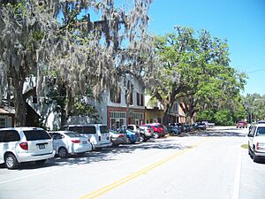 Micanopy Hist Dist03