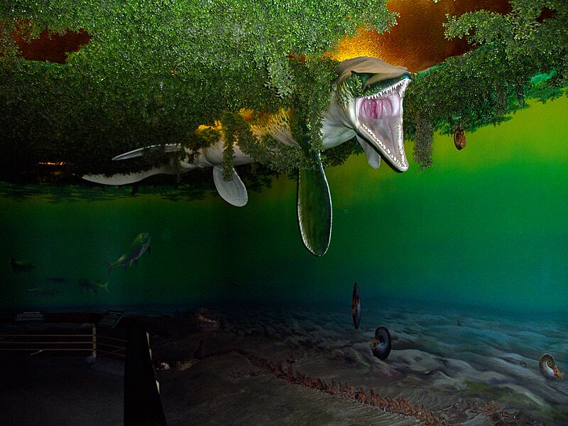 Mosasaur (5176730455)
