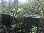 Naylor Cemetery near Riggs, Missouri.jpg