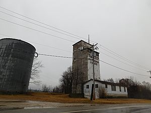 An unused grain elevator in Niota in January 2017