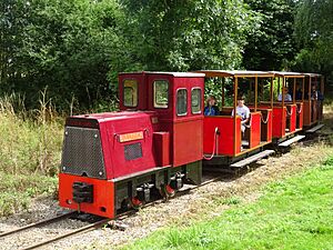 North Ings Railway, Bullfinch - 2021-08-01.jpg
