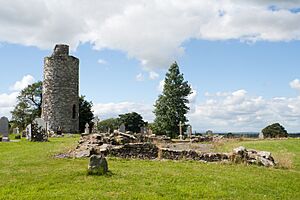 Old Kilcullen Church and Round Tower 2013 09 05