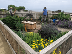 Old Point Loma Lighthouse kitchen garden