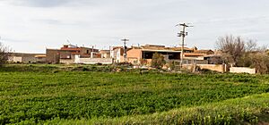 Pleitas, Zaragoza, España, 2018-04-05, DD 57