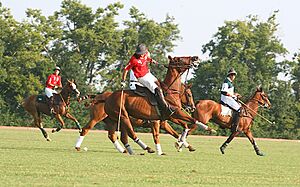 Polo At the Kentucky HOrse Park (5995905109)