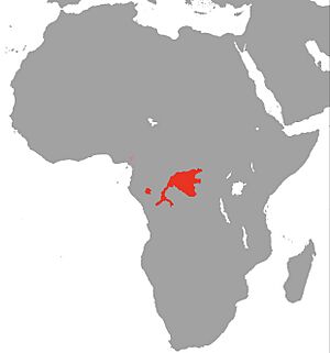 Polypterus retropinnis map.jpg