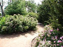 Portage Park Chicago Trail
