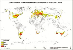 Potential Global Distribution of Spotted Lanternfly