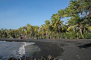 Punaluu Black Sand Beach, Hawaii, USA8