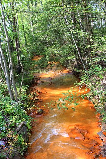 Quaker Run looking downstream.JPG