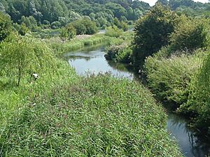 River Lea Amwell