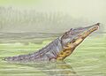 Rutiodon validus 21DB