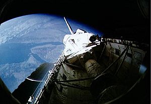 STS-42 view of payload bay.jpg