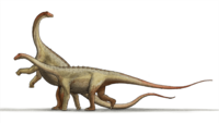 Saltasaurus dinosaur.png