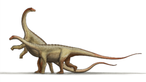 Saltasaurus dinosaur