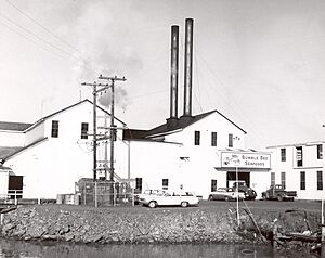 Samuel Elmore Cannery - OR - NHL