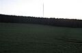 Sandale transmitter past Park Wood. - geograph.org.uk - 113453
