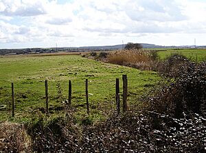 Seasalter Levels - geograph.org.uk - 145409