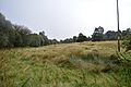 Southorpe Paddock 2