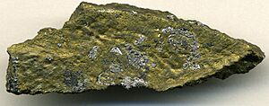Sperrylite in rich platinum-copper ore, Norilsk