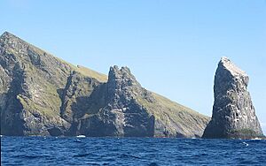 Stac Lì and Boreray - geograph.org.uk - 1441491