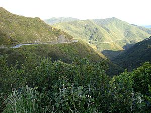 State Highway 2 (Rimutaka Hill Road) near the top of the range.