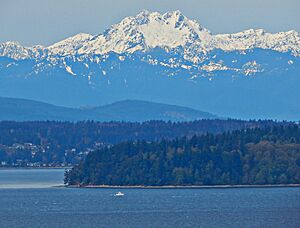 The Brothers from West Seattle