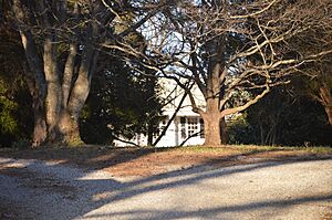 The Glebe south of Clifford