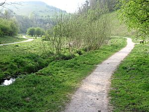 Tideswell Dale - geograph.org.uk - 1271241