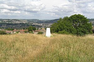 Twerton Roundhill in Bath (geograph 1967301)