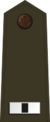 US Army W-1 (2020).svg