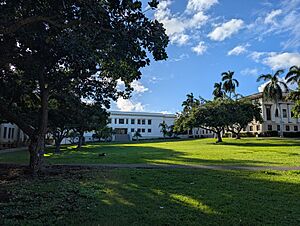 University of Hawaiʻi quadrangle