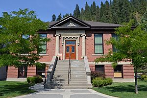 Wallace Carnege Library