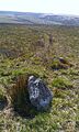 Withypool Stone Circle, May 2014 II