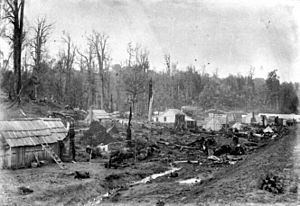 1886 construction camp at Poro-O-Tarau