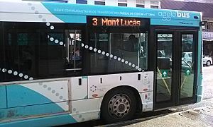 Agglo'bus cayenne n°3 de la RCT